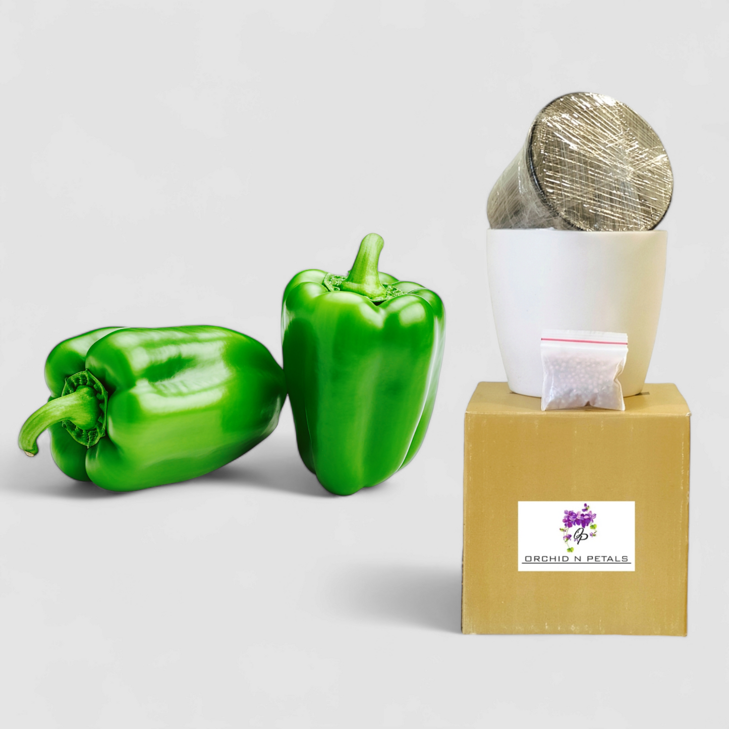 Green Capsicum (Gardening DIY Kit)