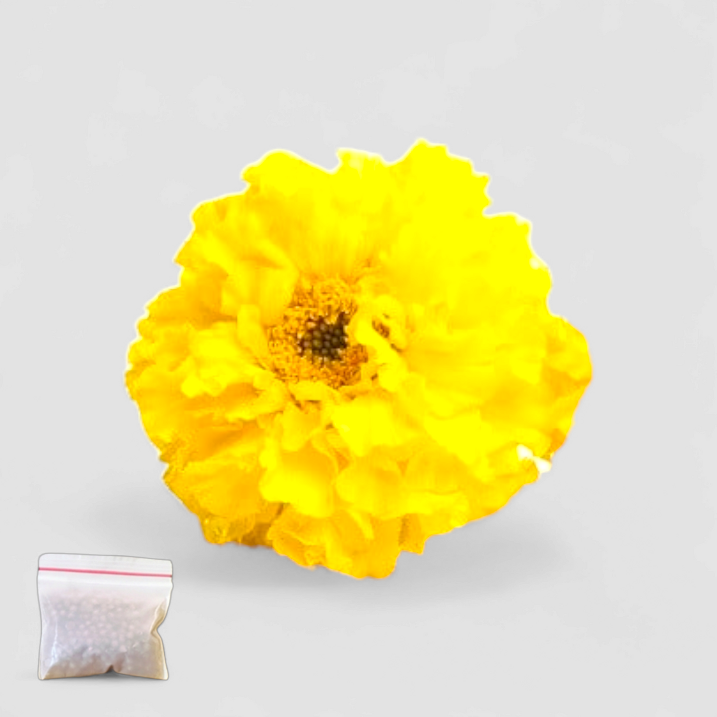 Marigold Yellow (Seeds)