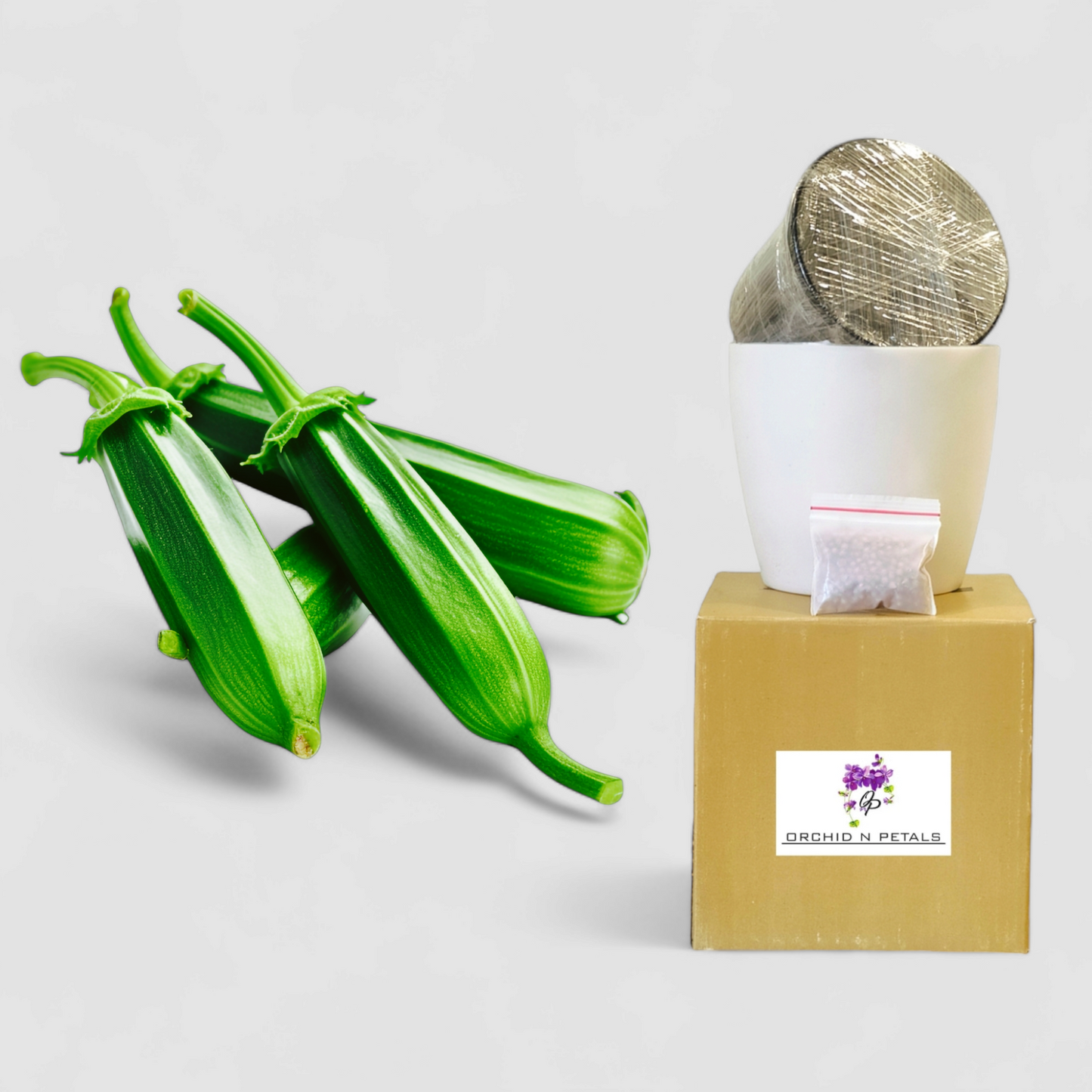 Okra (Gardening DIY Kit)