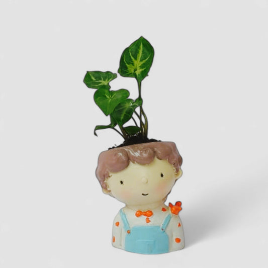 Cute Male Boy with Bow Resin Doll Planter with Green Syngonium Plant - ONPD009