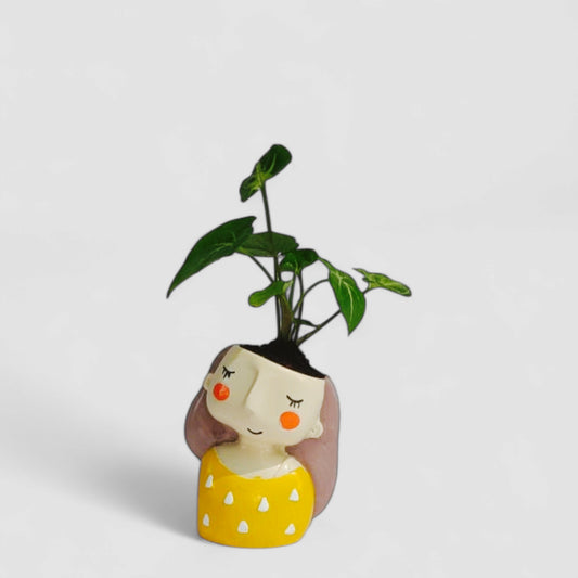 Cute Female with Yellow Dress Resin Doll Planter with Green Syngonium Plant - ONPD006