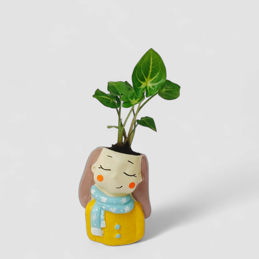 Cute Female Wearing Scarf Resin Doll Planter with Green Syngonium Plant - ONPD014