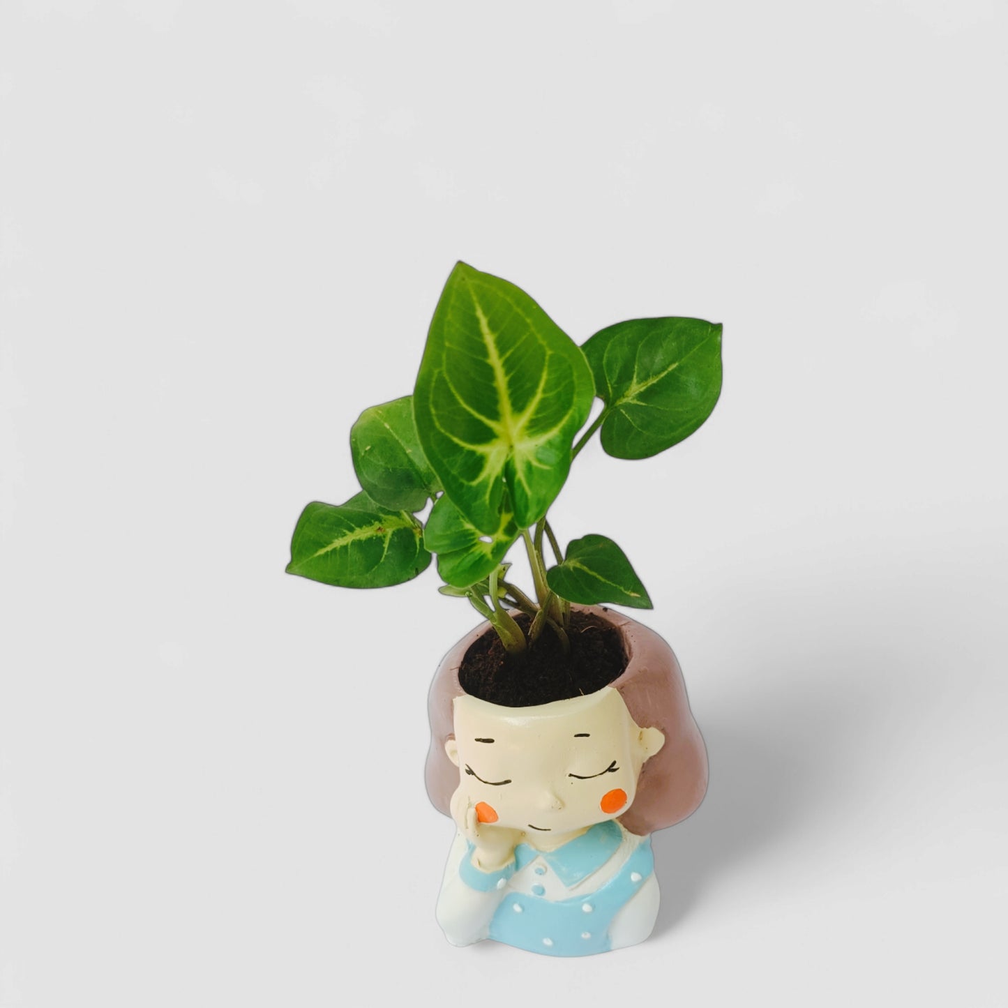 Cute Female Thinking Resin Doll Planter with Green Syngonium Plant - ONPD013