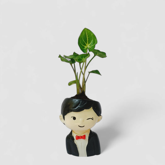 Cute Male with Black Suit Resin Doll Planter with Green Syngonium Plant - ONPD015