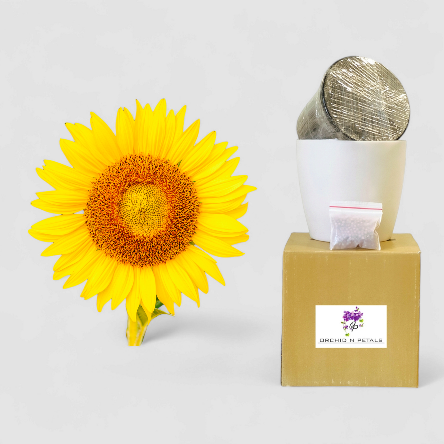 Sunflower (Gardening DIY Kit)